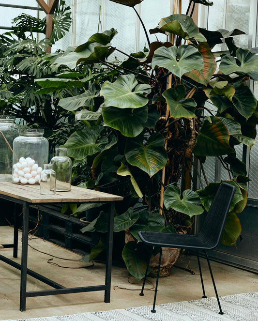 NORDAL IRONY HAVESTOL I FLETTET POLYRATTAN