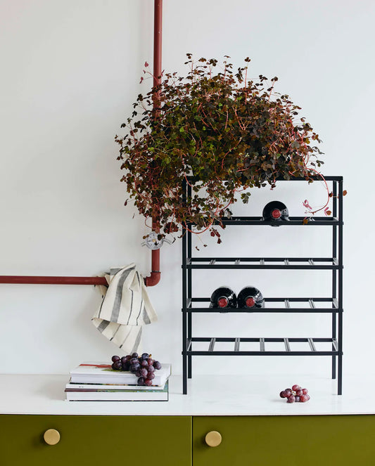 NORDAL LORENZO VINREOL